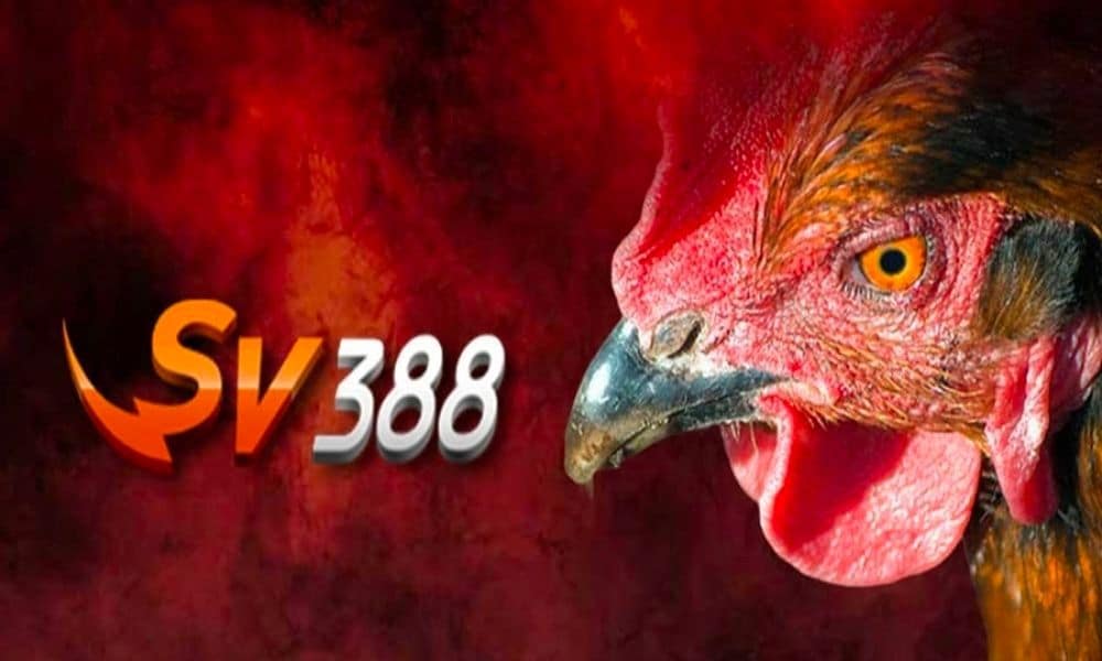 Giới Thiệu Sv388 – Bồ Gà Thomo Hàng Đầu Tại Campuchia