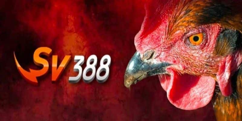 Cập Nhật Link Vào Sv388 Chuẩn Xác Không Gặp Lỗi