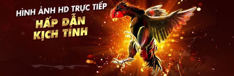 SV388 Lừa Đảo