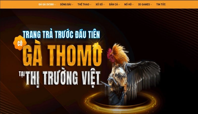 Sv388 Có Lừa Đảo Thành Viên Không? Khám Phá Sự Thật